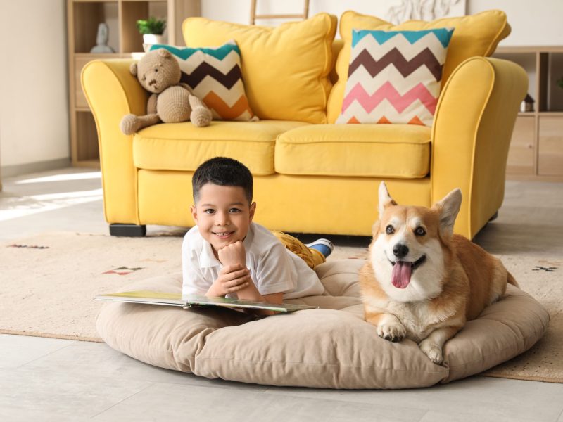Little,Happy,Asian,Boy,Reading,Book,With,Cute,Corgi,Dog